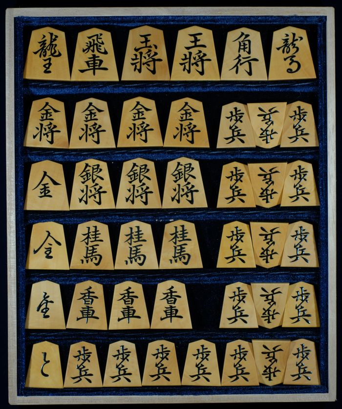 富月作菱湖書全景